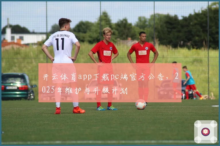 开云体育app下载pc端官方公告，2025年维护与升级计划