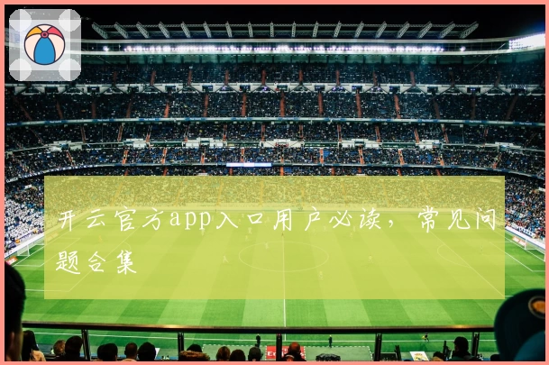 开云官方app入口用户必读，常见问题合集