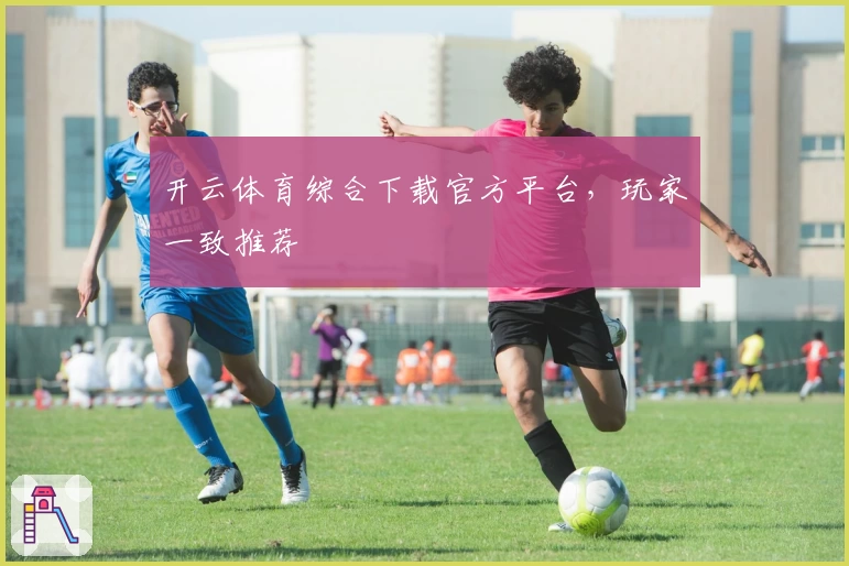 开云体育综合下载官方平台，玩家一致推荐
