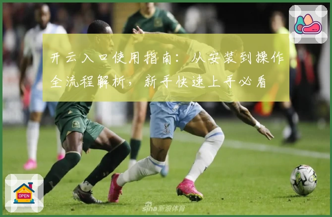 开云入口使用指南：从安装到操作全流程解析，新手快速上手必看