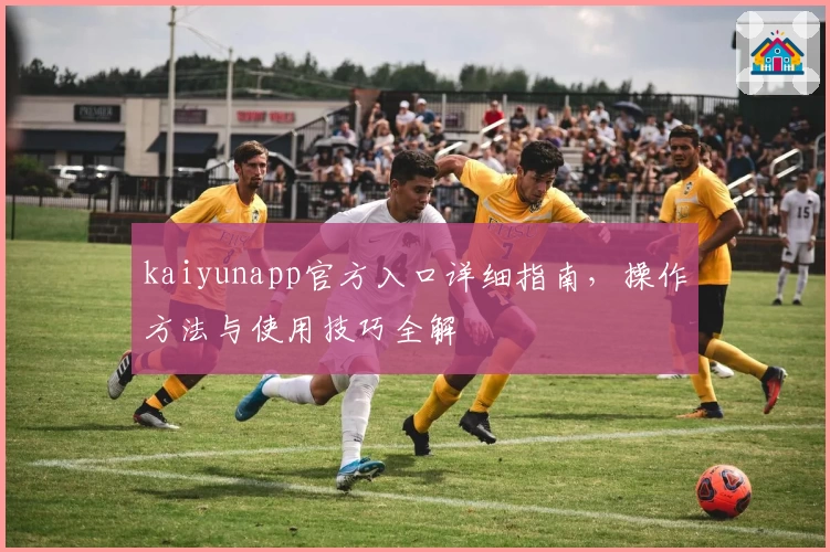 kaiyunapp官方入口详细指南,操作方法与使用技巧全解