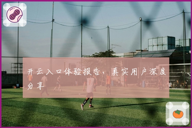 开云入口体验报告，真实用户深度分享