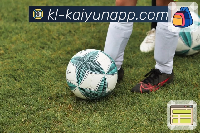 kaiyunAPP 封面图